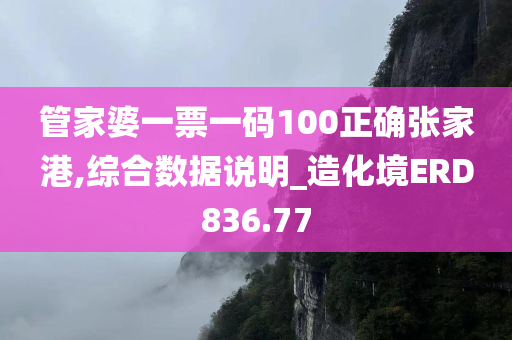 管家婆一票一码100正确张家港,综合数据说明_造化境ERD836.77