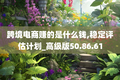 跨境电商赚的是什么钱,稳定评估计划_高级版50.86.61