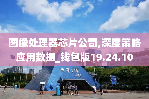 图像处理器芯片公司,深度策略应用数据_钱包版19.24.10