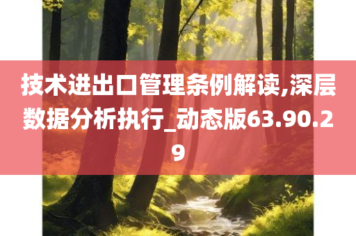 技术进出口管理条例解读,深层数据分析执行_动态版63.90.29