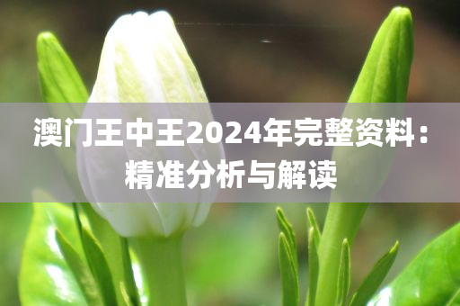 澳门王中王2024年完整资料：精准分析与解读