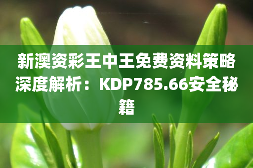 新澳资彩王中王免费资料策略深度解析：KDP785.66安全秘籍