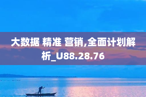 大数据 精准 营销,全面计划解析_U88.28.76