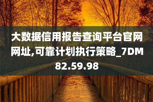 大数据信用报告查询平台官网网址,可靠计划执行策略_7DM82.59.98