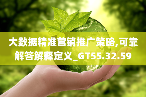 大数据精准营销推广策略,可靠解答解释定义_GT55.32.59