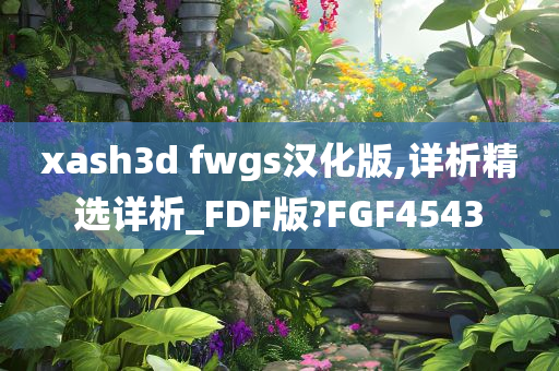 xash3d fwgs汉化版,详析精选详析_FDF版?FGF4543