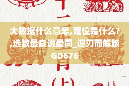 大数据什么意思,定位是什么?,选数最良说最同_迎刃而解版GD676