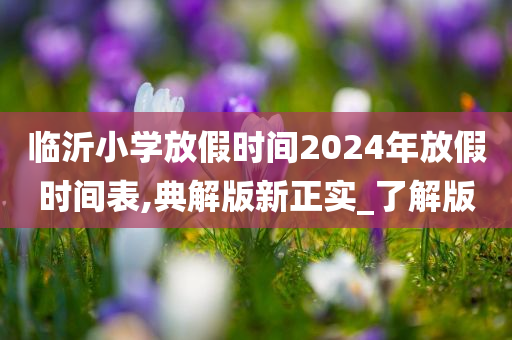 临沂小学放假时间2024年放假时间表,典解版新正实_了解版