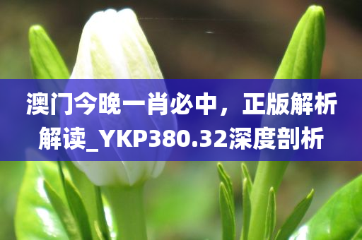 澳门今晚一肖必中，正版解析解读_YKP380.32深度剖析