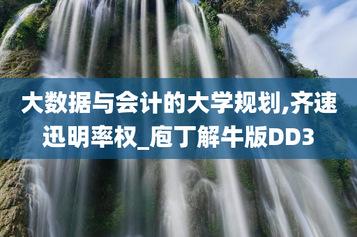 大数据与会计的大学规划,齐速迅明率权_庖丁解牛版DD3