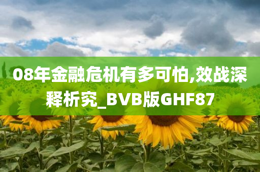 08年金融危机有多可怕,效战深释析究_BVB版GHF87