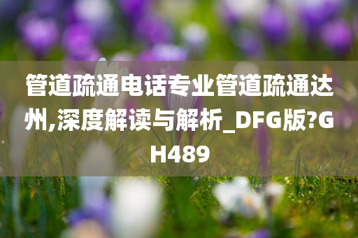 管道疏通电话专业管道疏通达州,深度解读与解析_DFG版?GH489