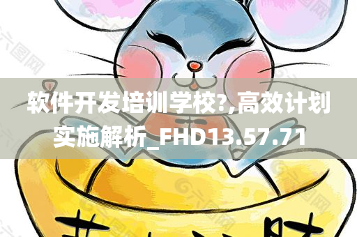 软件开发培训学校?,高效计划实施解析_FHD13.57.71