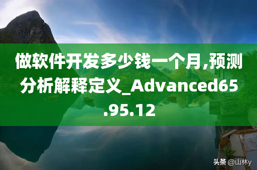 做软件开发多少钱一个月,预测分析解释定义_Advanced65.95.12