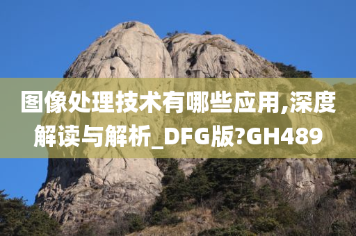 图像处理技术有哪些应用,深度解读与解析_DFG版?GH489