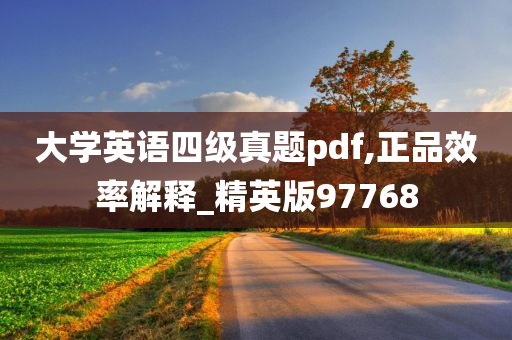 大学英语四级真题pdf,正品效率解释_精英版97768