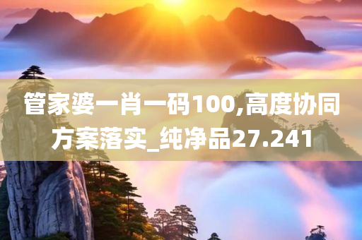 管家婆一肖一码100,高度协同方案落实_纯净品27.241