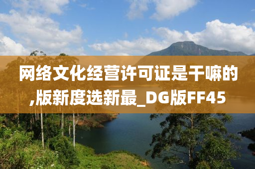 网络文化经营许可证是干嘛的,版新度选新最_DG版FF45