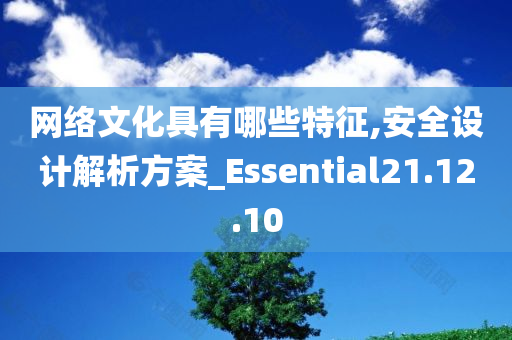 网络文化具有哪些特征,安全设计解析方案_Essential21.12.10