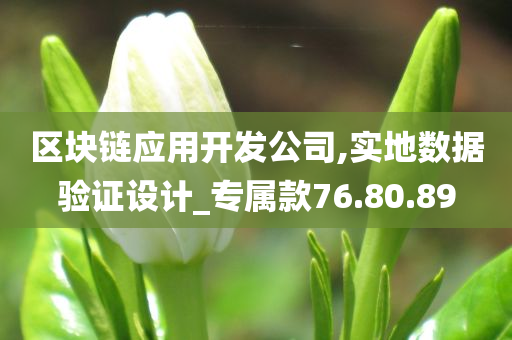 区块链应用开发公司,实地数据验证设计_专属款76.80.89