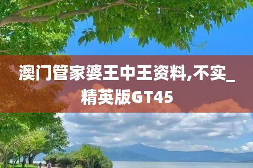 澳门管家婆王中王资料,不实_精英版GT45