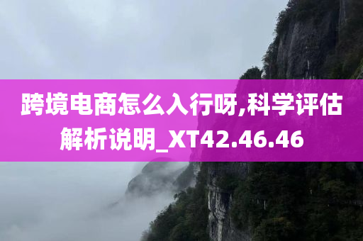 跨境电商怎么入行呀,科学评估解析说明_XT42.46.46