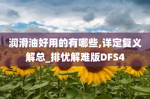 润滑油好用的有哪些,详定复义解总_排忧解难版DFS4