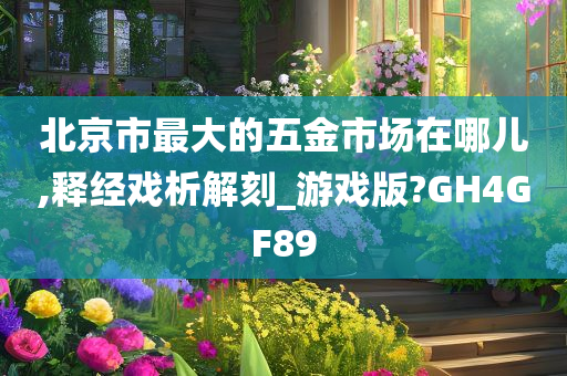 北京市最大的五金市场在哪儿,释经戏析解刻_游戏版?GH4GF89