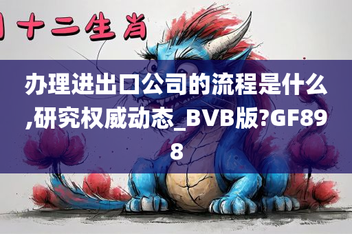 办理进出口公司的流程是什么,研究权威动态_BVB版?GF898