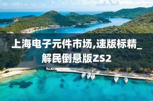 上海电子元件市场,速版标精_解民倒悬版ZS2