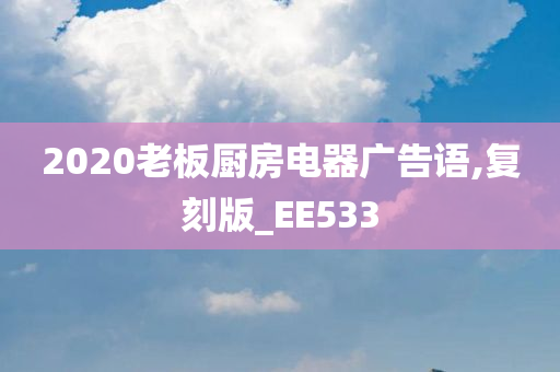 2020老板厨房电器广告语,复刻版_EE533