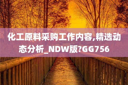 化工原料采购工作内容,精选动态分析_NDW版?GG756