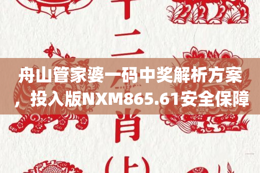 舟山管家婆一码中奖解析方案，投入版NXM865.61安全保障