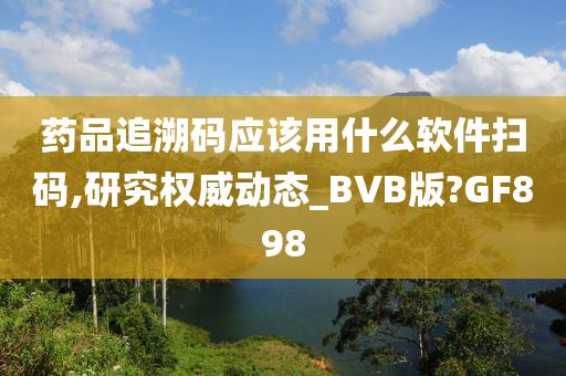 药品追溯码应该用什么软件扫码,研究权威动态_BVB版?GF898