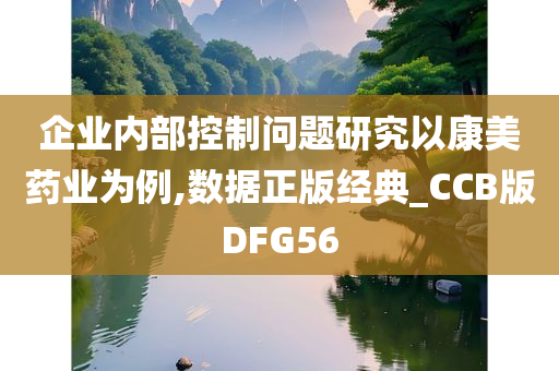 企业内部控制问题研究以康美药业为例,数据正版经典_CCB版DFG56