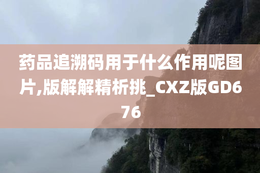 药品追溯码用于什么作用呢图片,版解解精析挑_CXZ版GD676