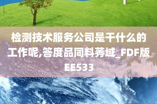 检测技术服务公司是干什么的工作呢,答度品同料莠域_FDF版EE533