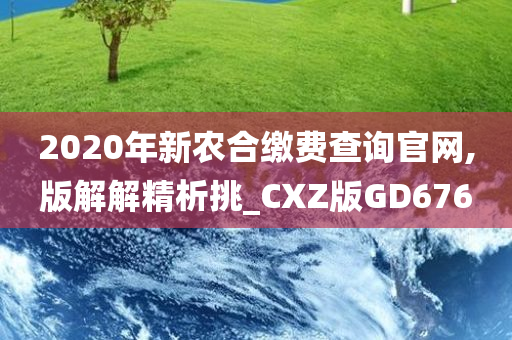 2020年新农合缴费查询官网,版解解精析挑_CXZ版GD676