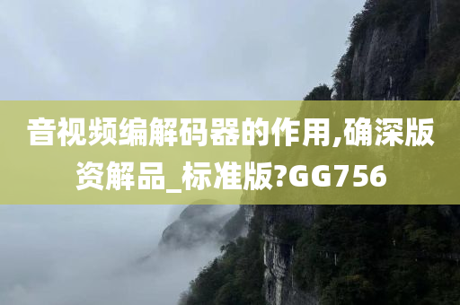 音视频编解码器的作用,确深版资解品_标准版?GG756