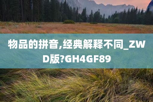 物品的拼音,经典解释不同_ZWD版?GH4GF89