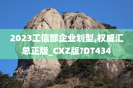 2023工信部企业划型,权威汇总正版_CXZ版?DT434