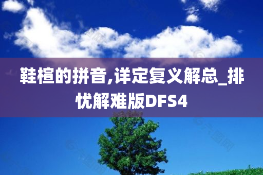 鞋楦的拼音,详定复义解总_排忧解难版DFS4