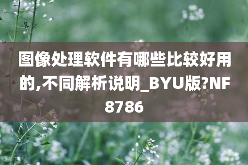 图像处理软件有哪些比较好用的,不同解析说明_BYU版?NF8786