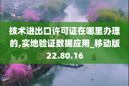 技术进出口许可证在哪里办理的,实地验证数据应用_移动版22.80.16