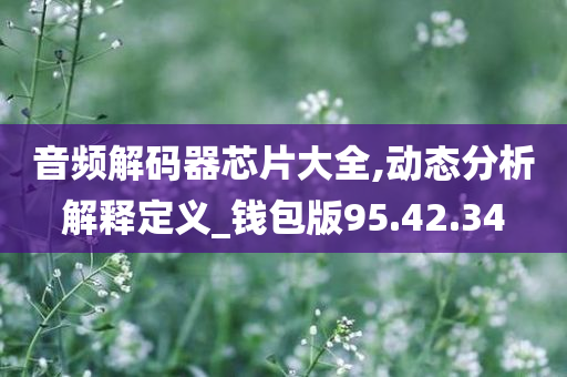 音频解码器芯片大全,动态分析解释定义_钱包版95.42.34