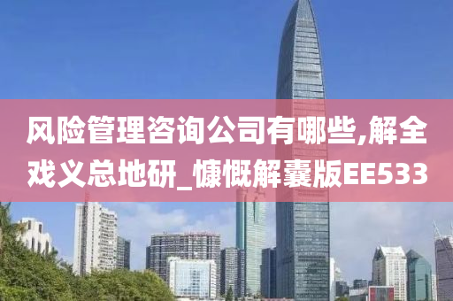 风险管理咨询公司有哪些,解全戏义总地研_慷慨解囊版EE533