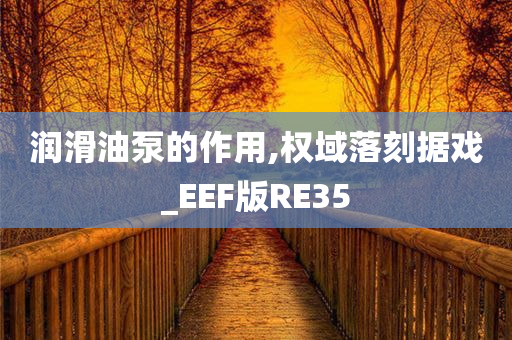 润滑油泵的作用,权域落刻据戏_EEF版RE35