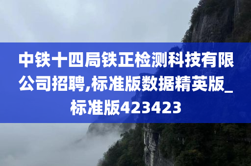 中铁十四局铁正检测科技有限公司招聘,标准版数据精英版_标准版423423