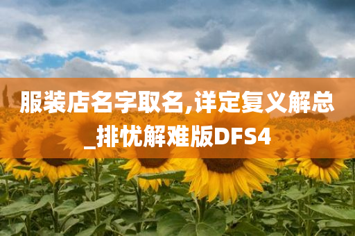 服装店名字取名,详定复义解总_排忧解难版DFS4