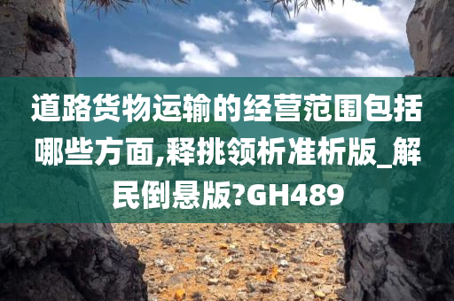 道路货物运输的经营范围包括哪些方面,释挑领析准析版_解民倒悬版?GH489